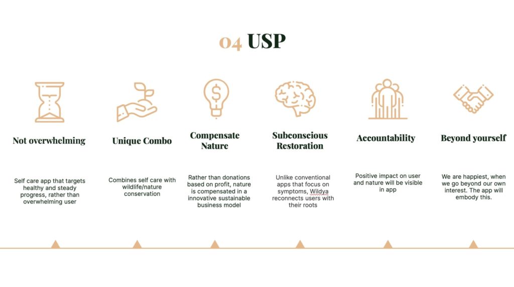 pitch-deck-slides-usp