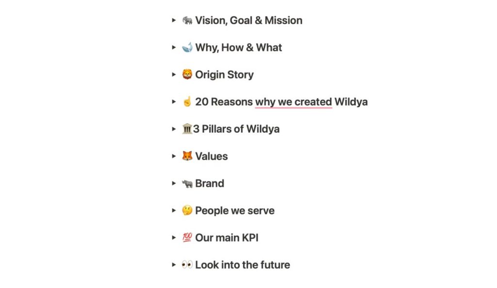wildya-company-manifesto